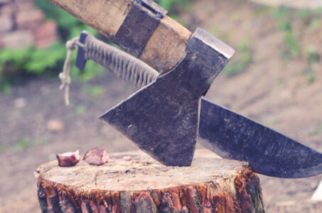 Hand Tools and Techniques for Home Landscaping Image